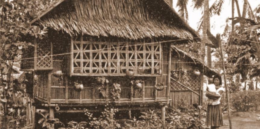 Bamboo / Coconut Wood Homes